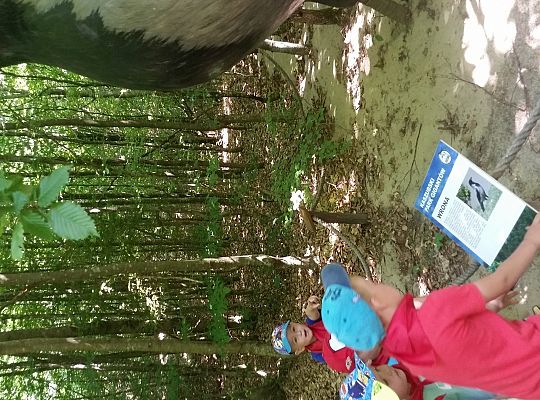 Wycieczka do Stryszej Budy gr I,II