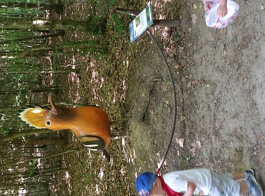 Wycieczka do Stryszej Budy gr I,II