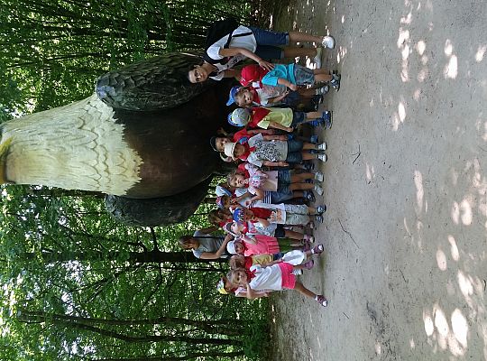 Wycieczka do Stryszej Budy gr I,II