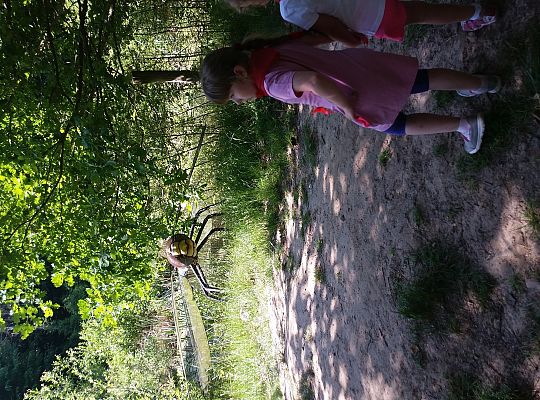 Wycieczka do Stryszej Budy gr I,II