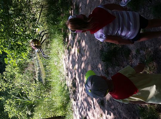 Wycieczka do Stryszej Budy gr I,II