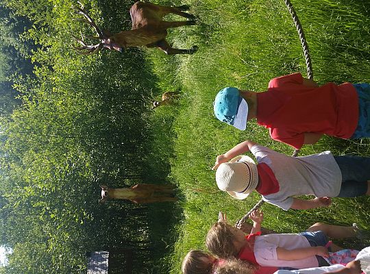 Wycieczka do Stryszej Budy gr I,II