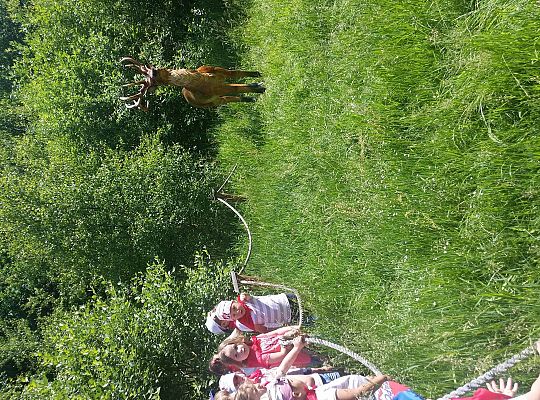 Wycieczka do Stryszej Budy gr I,II