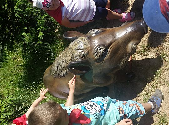 Wycieczka do Stryszej Budy gr I,II