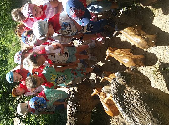 Wycieczka do Stryszej Budy gr I,II