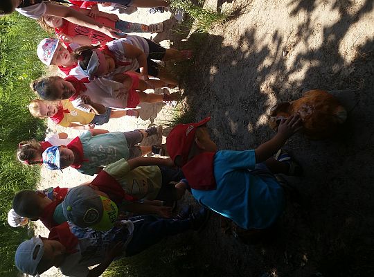 Wycieczka do Stryszej Budy gr I,II