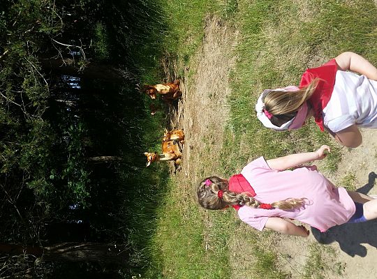 Wycieczka do Stryszej Budy gr I,II