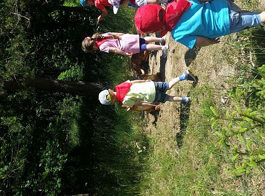 Wycieczka do Stryszej Budy gr I,II