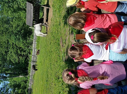 Wycieczka do Stryszej Budy gr I,II