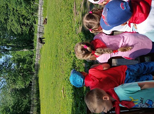 Wycieczka do Stryszej Budy gr I,II