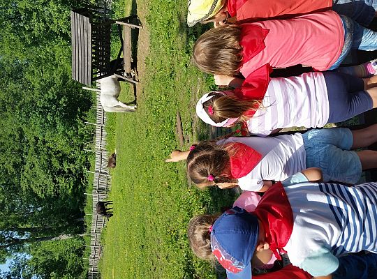 Wycieczka do Stryszej Budy gr I,II