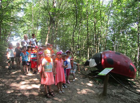 Wycieczka do Stryszej Budy gr I,II