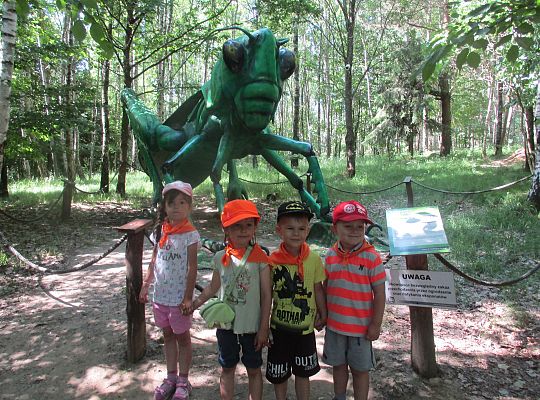 Wycieczka do Stryszej Budy gr I,II