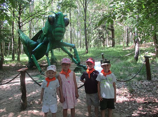 Wycieczka do Stryszej Budy gr I,II