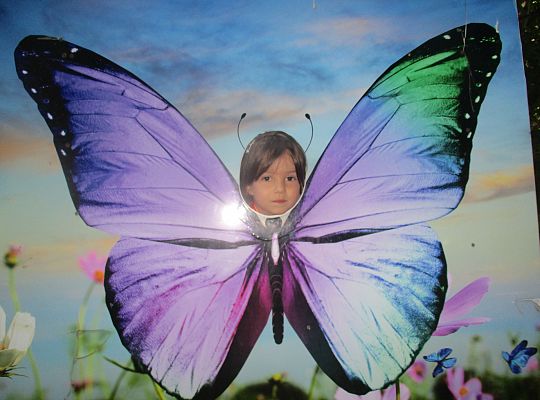 Wycieczka do Stryszej Budy gr I,II