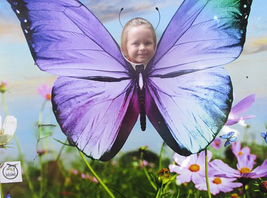 Wycieczka do Stryszej Budy gr I,II