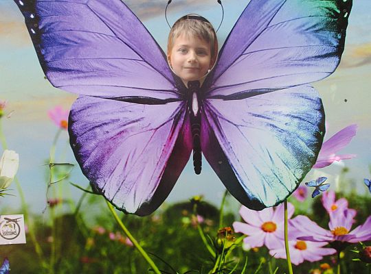 Wycieczka do Stryszej Budy gr I,II