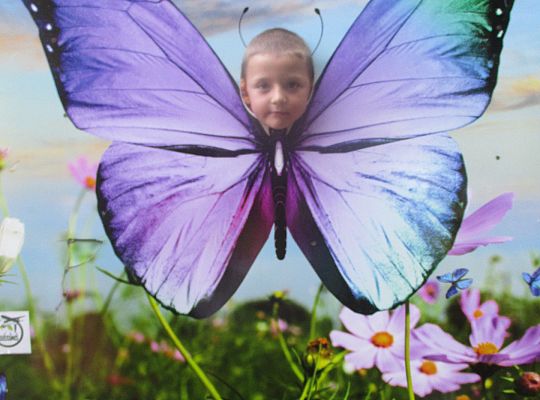 Wycieczka do Stryszej Budy gr I,II