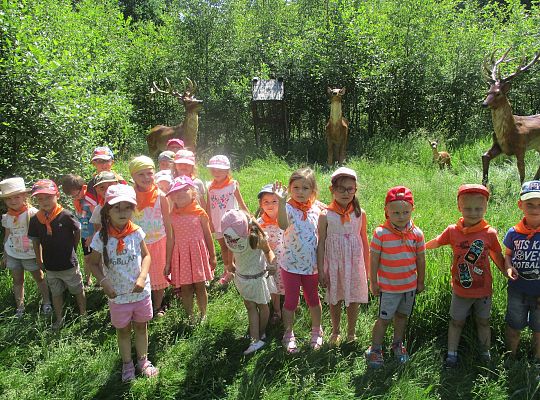 Wycieczka do Stryszej Budy gr I,II