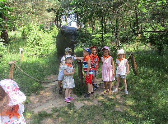 Wycieczka do Stryszej Budy gr I,II