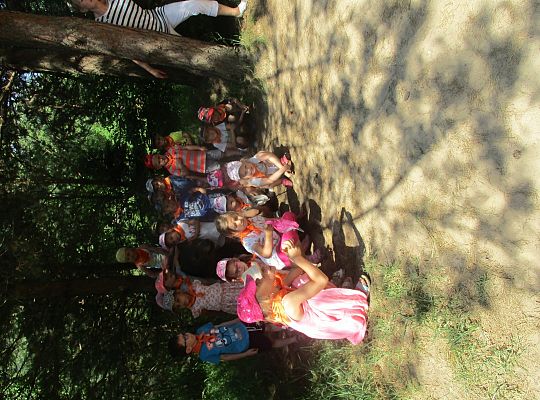 Wycieczka do Stryszej Budy gr I,II