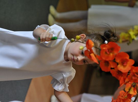 Zakończenie roku w gr. II