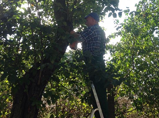 My o pszczółki i owady dbamy,więc domki zakładamy gr. I