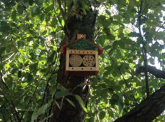 My o pszczółki i owady dbamy,więc domki zakładamy gr. I