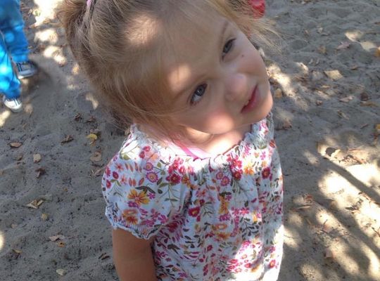 My o pszczółki i owady dbamy,więc domki zakładamy gr. I