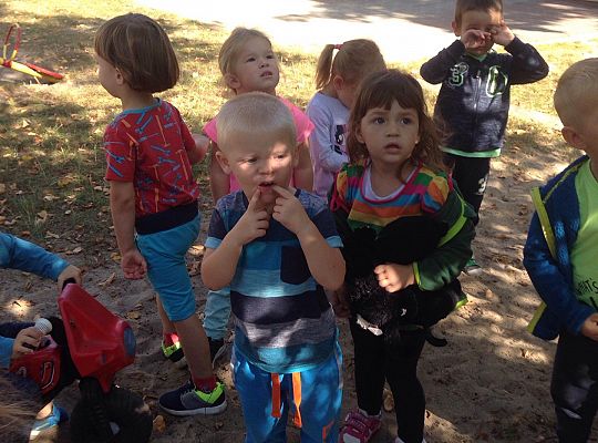 My o pszczółki i owady dbamy,więc domki zakładamy gr. I