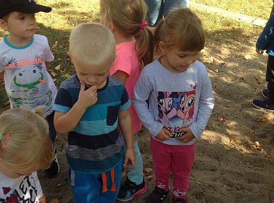 My o pszczółki i owady dbamy,więc domki zakładamy gr. I