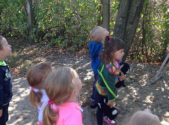 My o pszczółki i owady dbamy,więc domki zakładamy gr. I