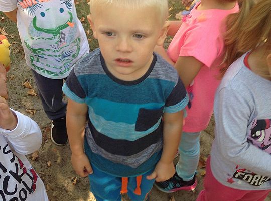 My o pszczółki i owady dbamy,więc domki zakładamy gr. I