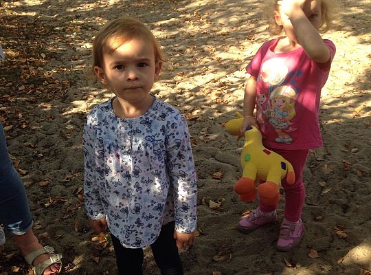 My o pszczółki i owady dbamy,więc domki zakładamy gr. I