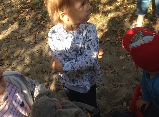 My o pszczółki i owady dbamy,więc domki zakładamy gr. I