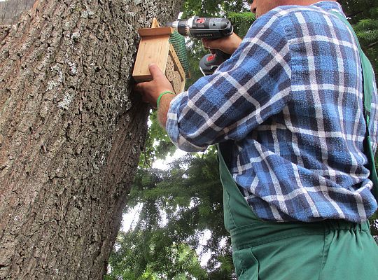 My o pszczółki i owady dbamy,więc domki zakładamy gr. III