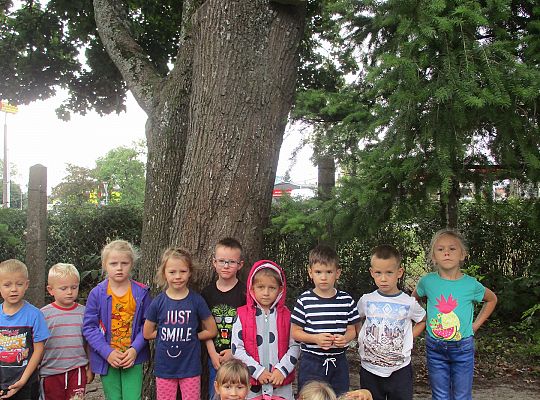 My o pszczółki i owady dbamy,więc domki zakładamy gr. III