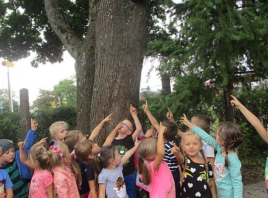 My o pszczółki i owady dbamy,więc domki zakładamy gr. III