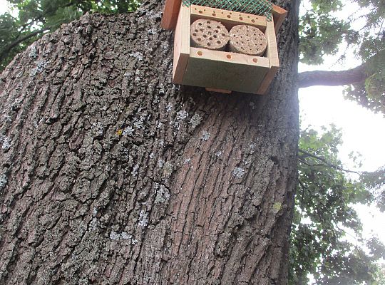 My o pszczółki i owady dbamy,więc domki zakładamy gr. III