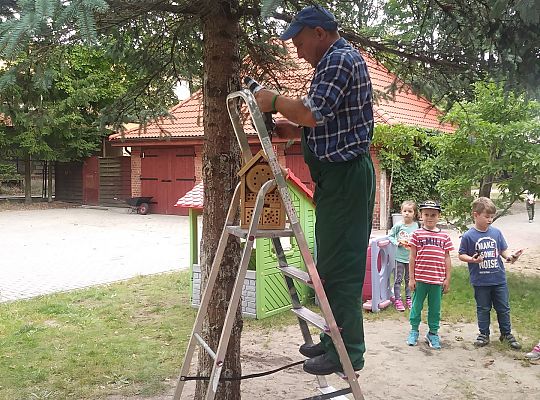 My o pszczółki i owady dbamy,więc domki zakładamy gr. IV