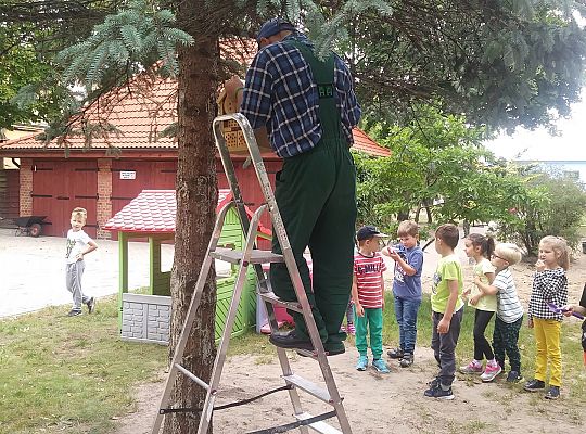 My o pszczółki i owady dbamy,więc domki zakładamy gr. IV