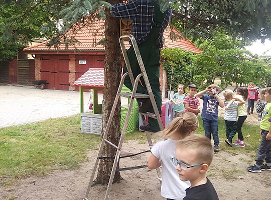 My o pszczółki i owady dbamy,więc domki zakładamy gr. IV