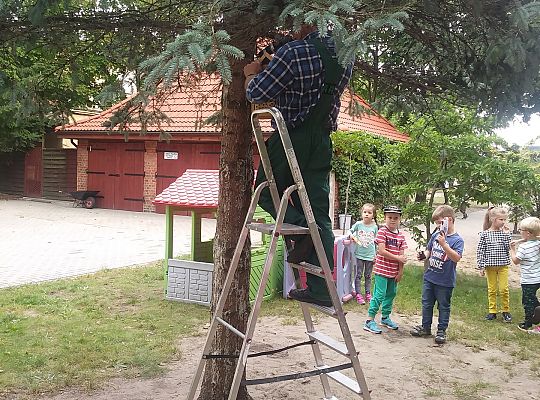 My o pszczółki i owady dbamy,więc domki zakładamy gr. IV