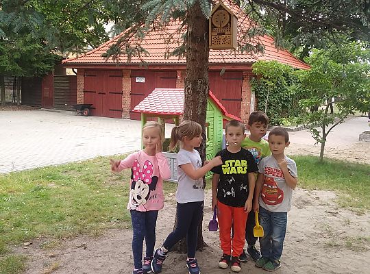 My o pszczółki i owady dbamy,więc domki zakładamy gr. IV