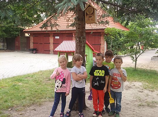 My o pszczółki i owady dbamy,więc domki zakładamy gr. IV