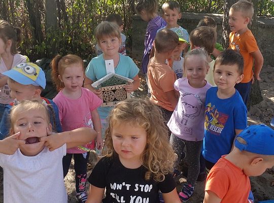 My o pszczółki i owady dbamy,więc domki zakładamy gr. II