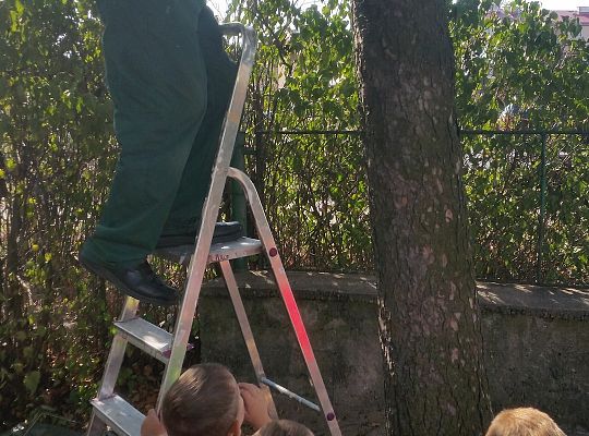 My o pszczółki i owady dbamy,więc domki zakładamy gr. II