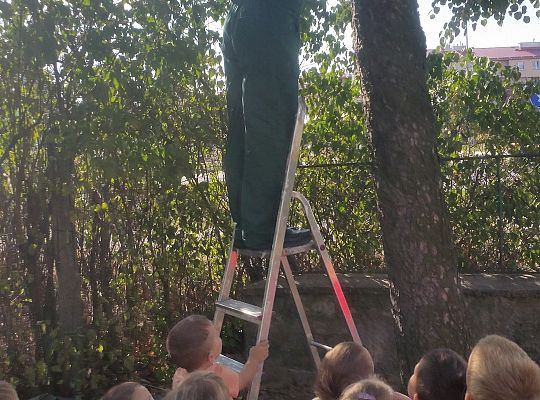 My o pszczółki i owady dbamy,więc domki zakładamy gr. II