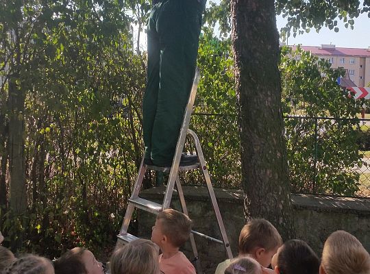 My o pszczółki i owady dbamy,więc domki zakładamy gr. II