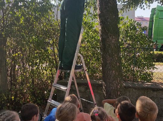 My o pszczółki i owady dbamy,więc domki zakładamy gr. II